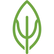 Athena logo