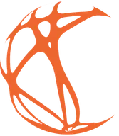 Capago International logo