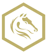 darkhorseemergency logo