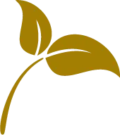 Deseo Tapas Bar logo