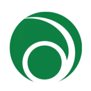 DREAM EXECUTIVE SERVICES SL logo