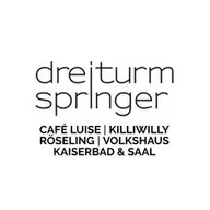 dreiturmspringer GmbH logo