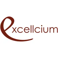 Excellcium logo