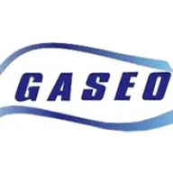 Gaseoenfermagem logo