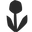 Groundwork Coffee logo