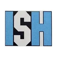 ISH INGENIEURE GMBH logo
