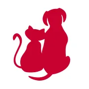 Janis Enßle logo
