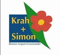 Krah + Simon GmbH logo