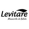 Levitare logo