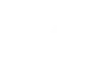 NT Concepts logo