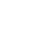 Parity logo