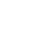 Presidents Institute logo