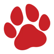 reddogmedia logo