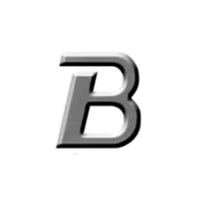 Rudolf Braun GmbH & Co. KG logo
