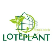 SEMILLERO SL logo