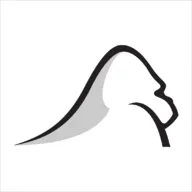 silverbackstrategies logo