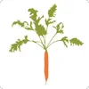 stonebarnscenter logo