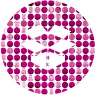 SUPPLYWEB logo
