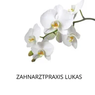 Zahnarztpraxis Lukas logo